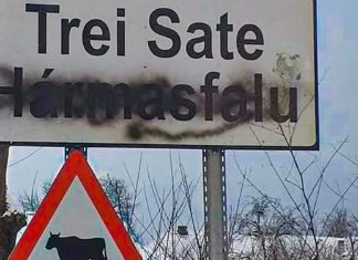 Bărbat din Bacău condamnat pentru vandalism, după ce a vopsit cu negru mai multe indicatoare care aveau inscripţii în limba maghiară