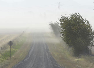Atenționare meteo: cod galben, vânt puternic de la ora 11:00