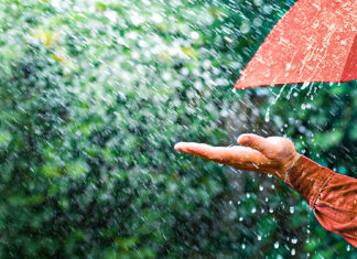 Cod galben, avertizare now-casting