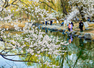 Echinocţiu: Primăvara astronomică începe azi la ora 23.24